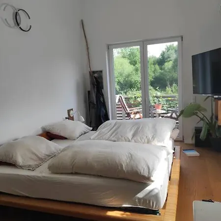 Kinderparadies Mit Naturpool Und Bauernhofflair Wannweil