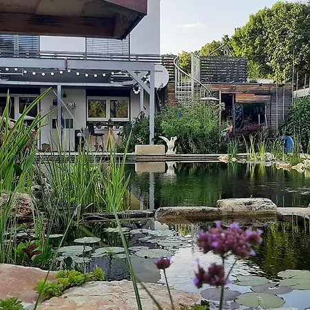 Kinderparadies Mit Naturpool Und Bauernhofflair Ferienhaus Wannweil
