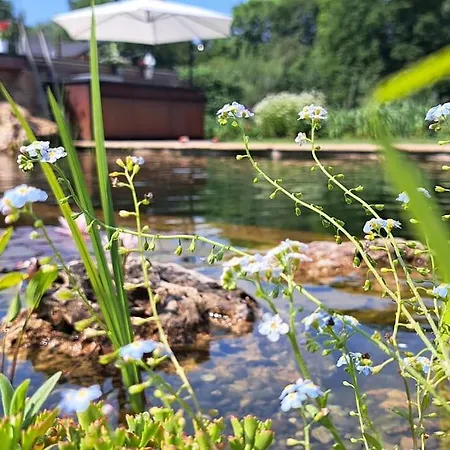 Ferienhaus Kinderparadies Mit Naturpool Und Bauernhofflair Wannweil
