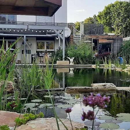 Ferienhaus Kinderparadies Mit Naturpool Und Bauernhofflair Wannweil