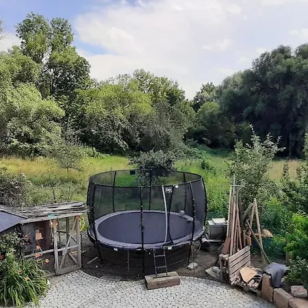 Ferienhaus Kinderparadies Mit Naturpool Und Bauernhofflair Wannweil